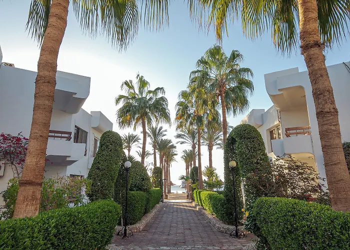 Üdülőközpont Marlin Azur 3*